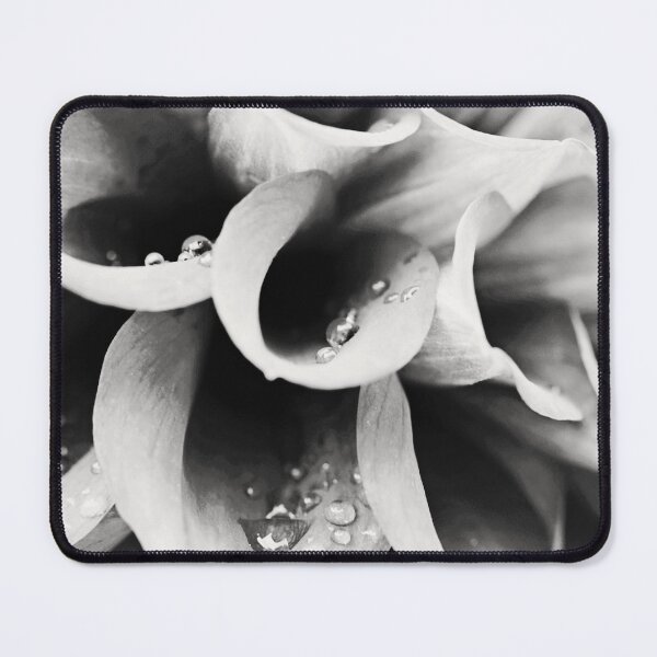 Item preview, Dahlia 2 designed and sold by DreamWild.