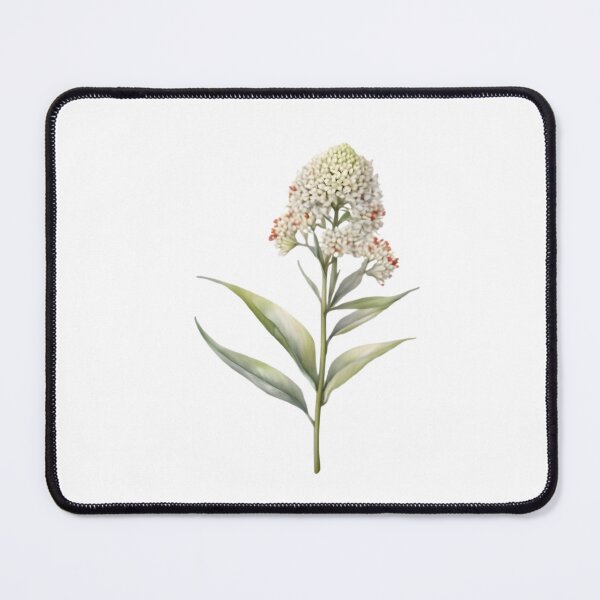 Item preview, Asclepias Syriaca designed and sold by HOMETOWN86.