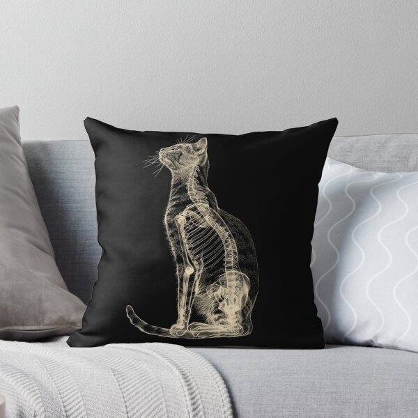 Item preview, Cat anatomy designed and sold by HistHero.