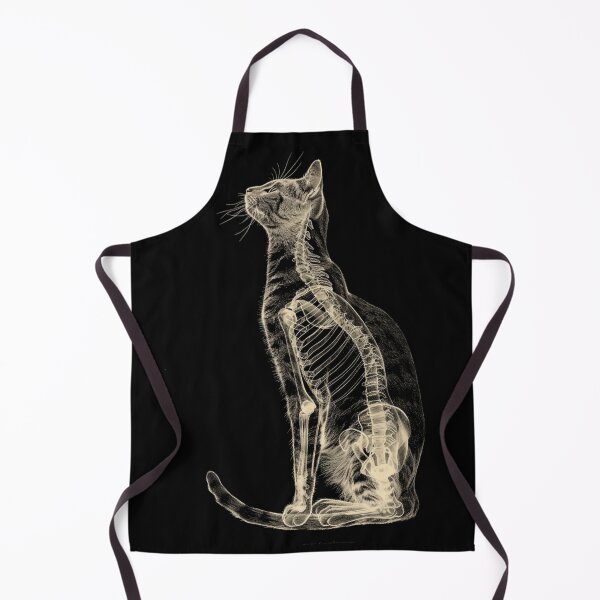 Item preview, Cat anatomy designed and sold by HistHero.