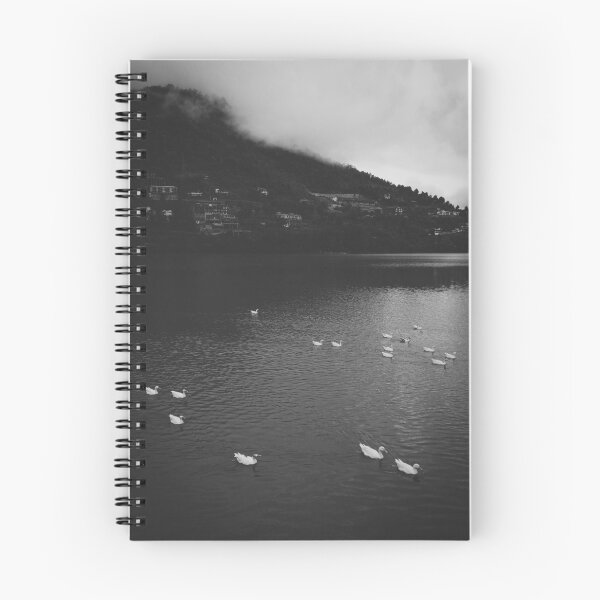 Item preview, Domestic Geese - Himalayan Lake designed and sold by Neha  Gupta.
