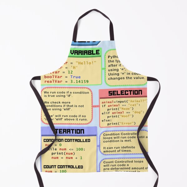 Item preview, Python Beginner Concepts designed and sold by elliobot.