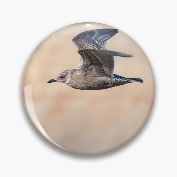 Item preview, Juvenile Seagull In Flight designed and sold by Debra Martz.