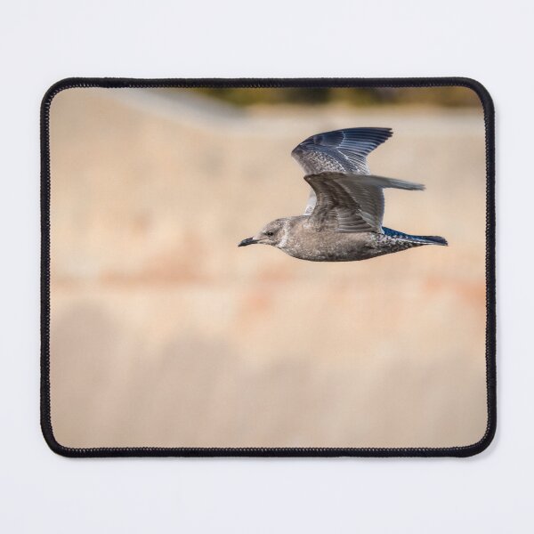 Item preview, Juvenile Seagull In Flight designed and sold by Debra Martz.
