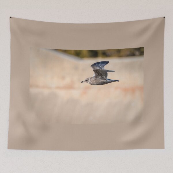 Item preview, Juvenile Seagull In Flight designed and sold by Debra Martz.