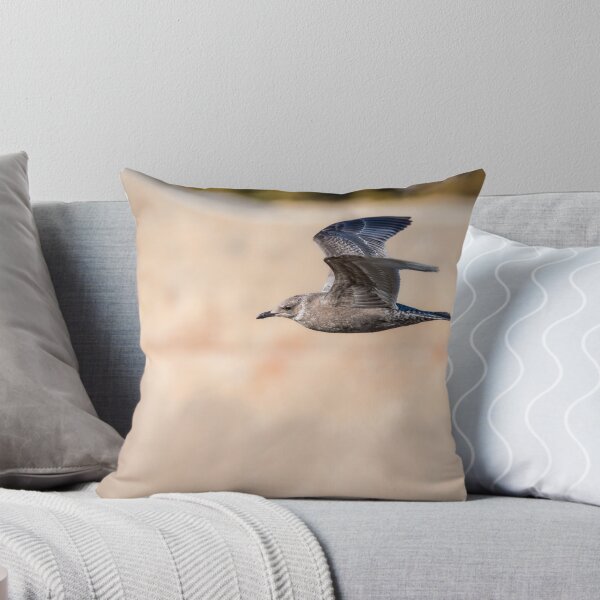 Item preview, Juvenile Seagull In Flight designed and sold by Debra Martz.