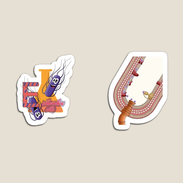 Item preview, Escherichia coli coloured - letter E from Coloured bacteria from A to Z designed and sold by BacterialWorld.