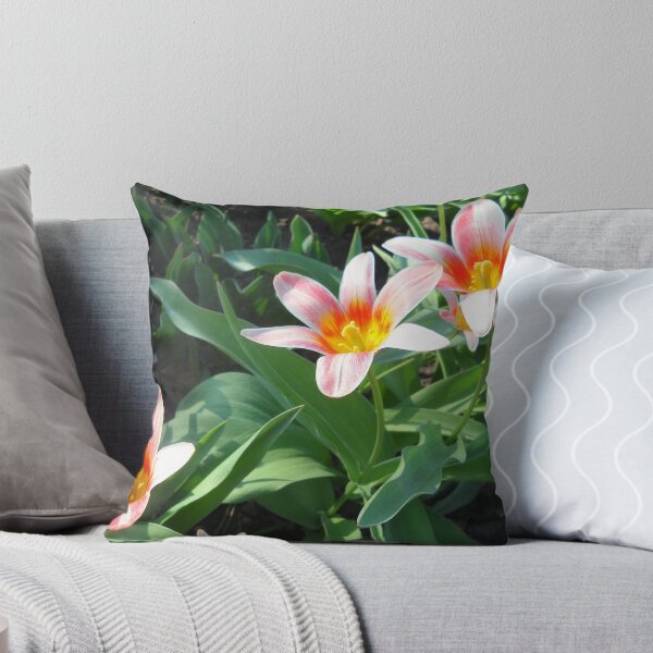 Item preview, Tulips Tulips designed and sold by Vitta.