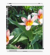 Tulips Tulips iPad Case/Skin