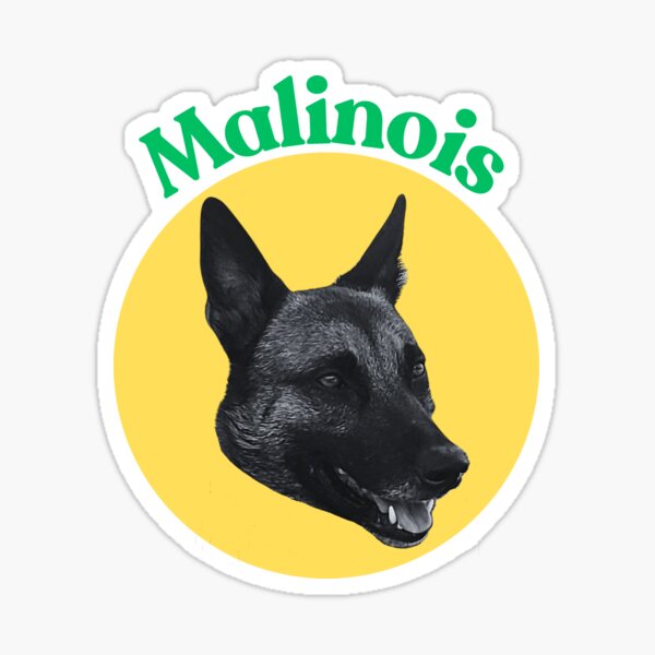 Malinois Kopf in gelbem Kreis Sticker