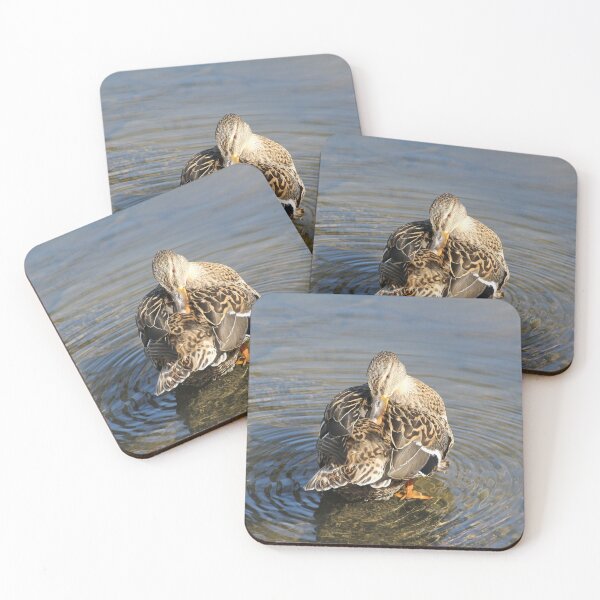 Item preview, Mallard photo designed and sold by AK-Hevonen.