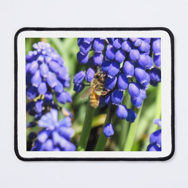 Item preview, Sweet Treat designed and sold by Simple Joys Photography.