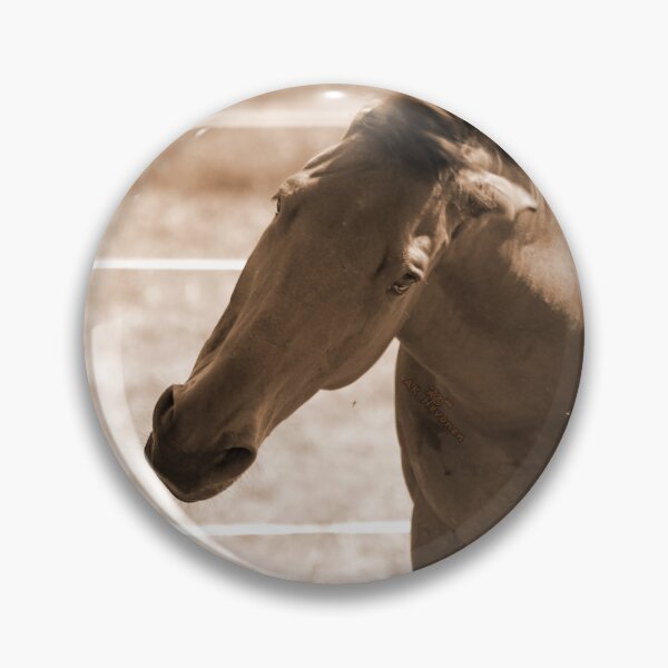 Item preview, Horse Photo designed and sold by AK-Hevonen.