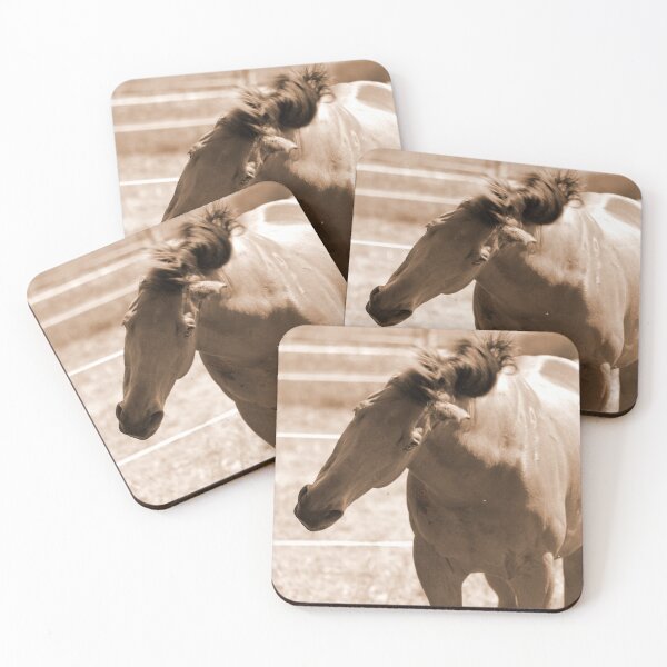 Item preview, Horse Photo designed and sold by AK-Hevonen.