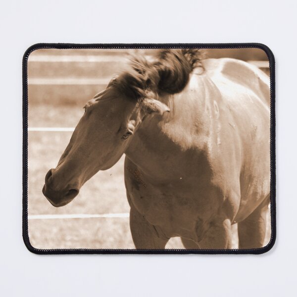 Item preview, Horse Photo designed and sold by AK-Hevonen.