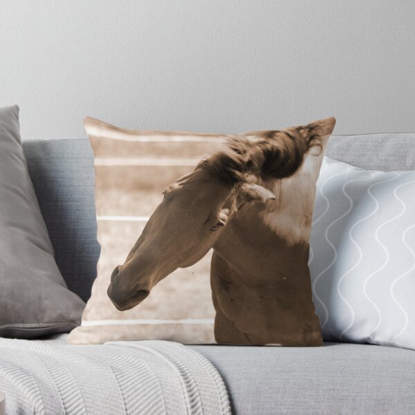 Item preview, Horse Photo designed and sold by AK-Hevonen.