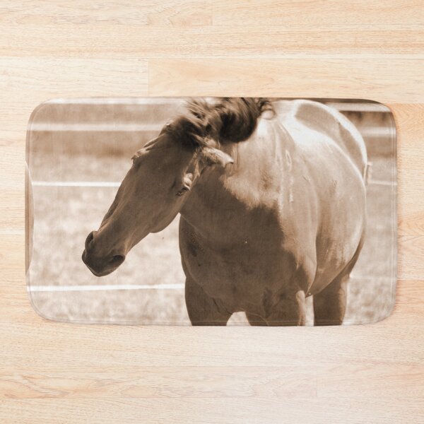 Item preview, Horse Photo designed and sold by AK-Hevonen.