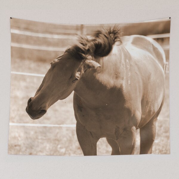 Item preview, Horse Photo designed and sold by AK-Hevonen.