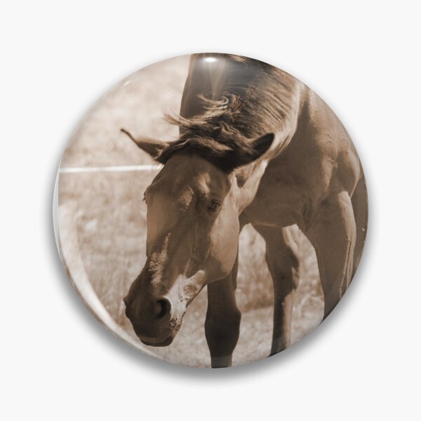 Item preview, Horse Photo designed and sold by AK-Hevonen.