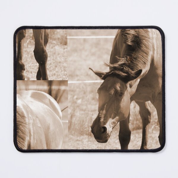 Item preview, Horse Photo designed and sold by AK-Hevonen.