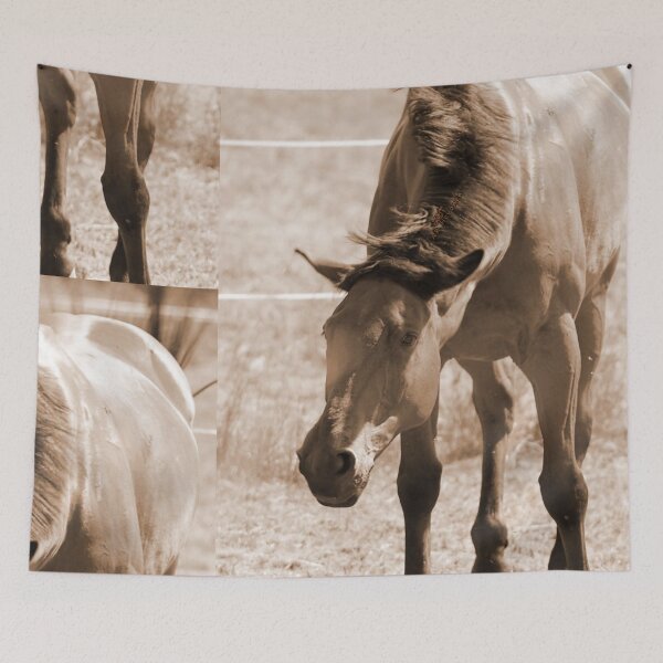 Item preview, Horse Photo designed and sold by AK-Hevonen.
