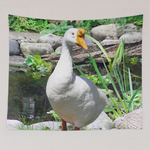 Item preview, This is My Favorite Place! designed and sold by heatherfriedman.