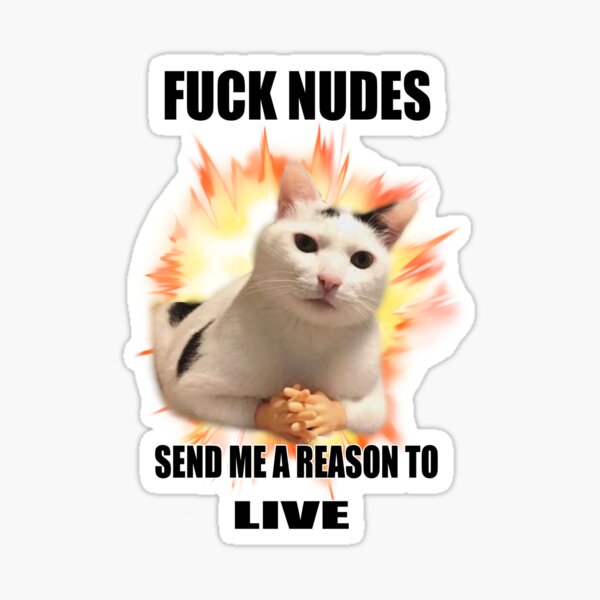 Item preview, FUCK NUDES, SEND ME A REASON TO LIVE!!! cute cat design  designed and sold by GlisssBigBallz.