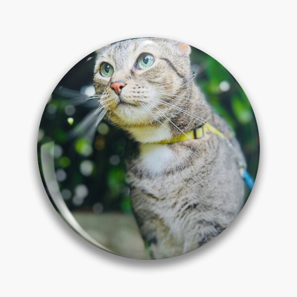 Item preview, Cattitude  designed and sold by Amanda Crone.