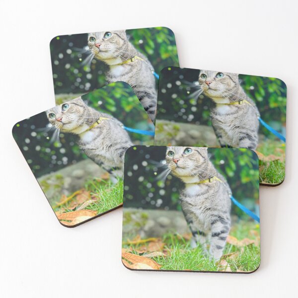 Item preview, Cattitude  designed and sold by Amanda Crone.