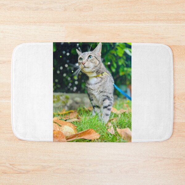 Item preview, Cattitude  designed and sold by Amanda Crone.