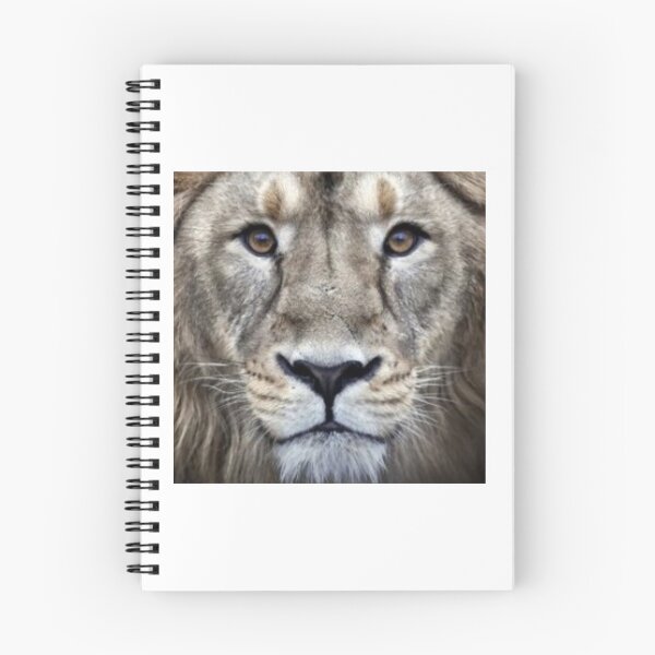 Aperçu de l'œuvre Leo le lion créée et vendue par sofifain.