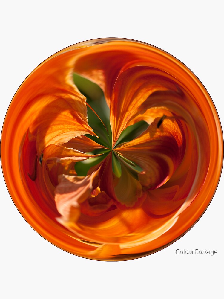 Orb 6 by ColourCottage