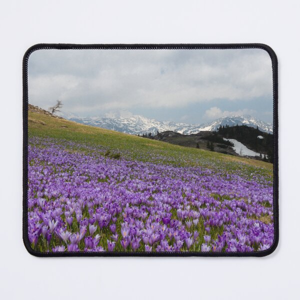 Item preview, Crocus flowers at Velika Planina, Slovenia designed and sold by Patrik Lovrin.
