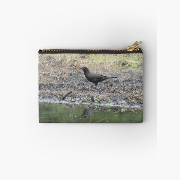 Item preview, (Un)Common Grackle designed and sold by Birds-by-Bovi.