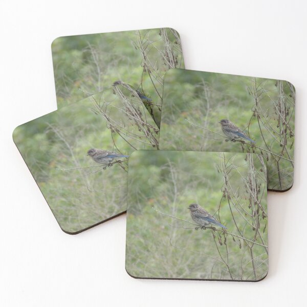 Item preview, Baby Blue designed and sold by Birds-by-Bovi.