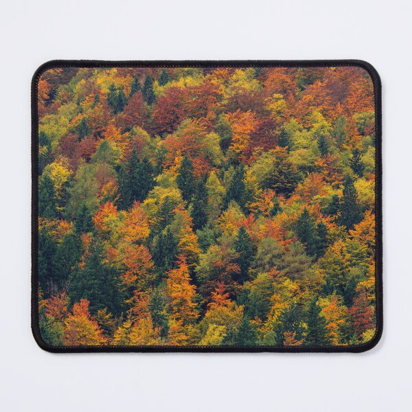 Item preview, Stunning autumn forest designed and sold by Patrik Lovrin.