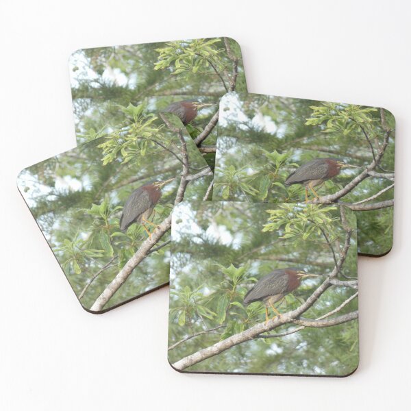 Item preview, Green Heron designed and sold by Birds-by-Bovi.