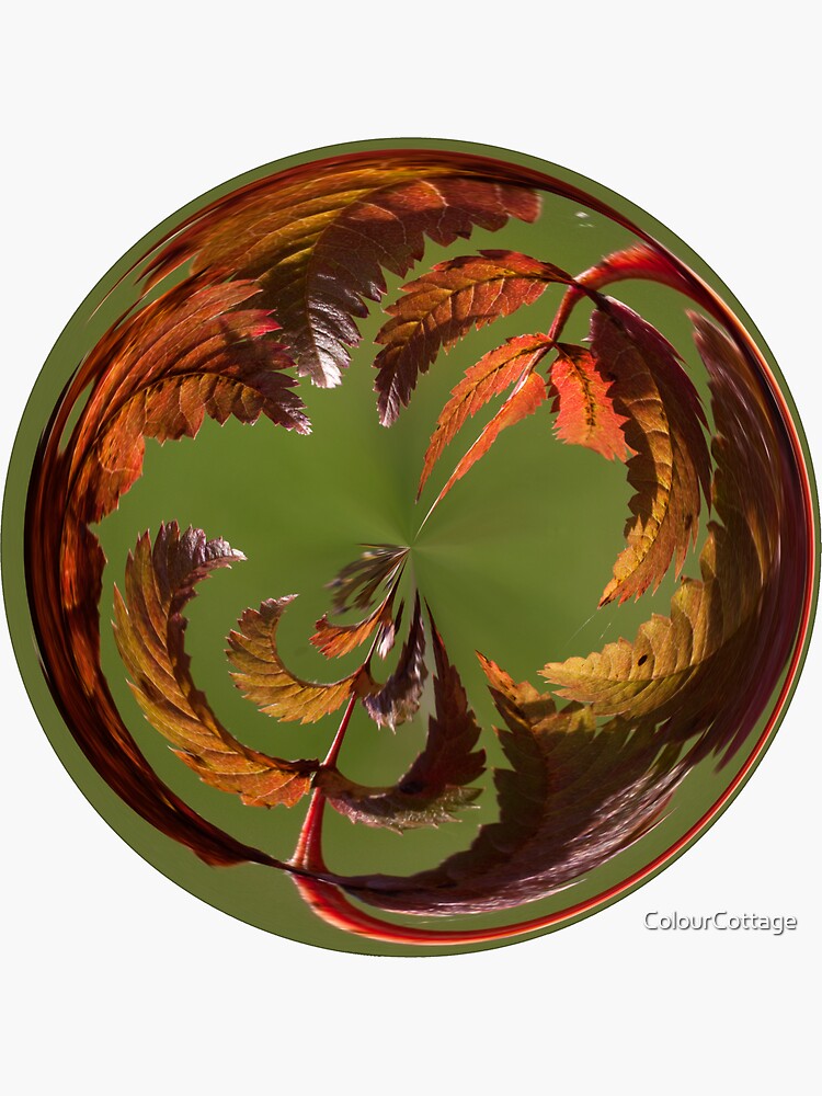 Orb 8 by ColourCottage