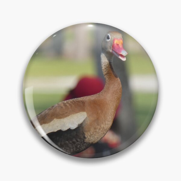Item preview, Black-bellied Whistling Duck designed and sold by Birds-by-Bovi.