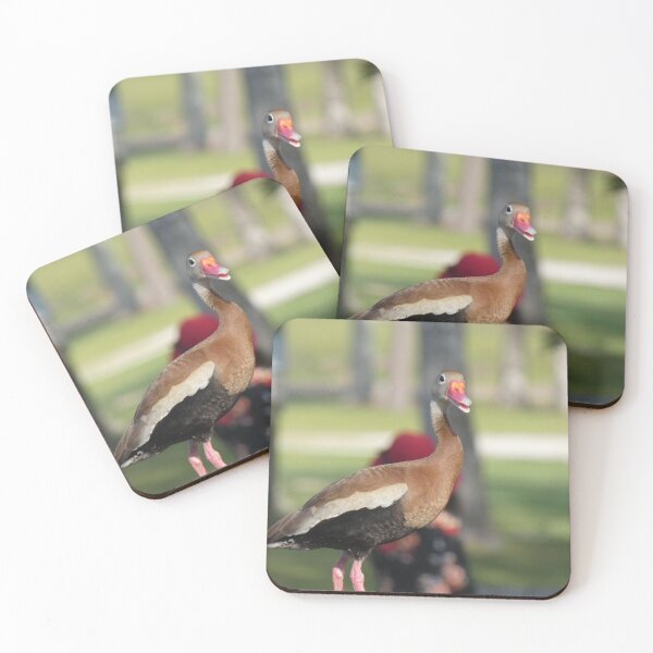 Item preview, Black-bellied Whistling Duck designed and sold by Birds-by-Bovi.