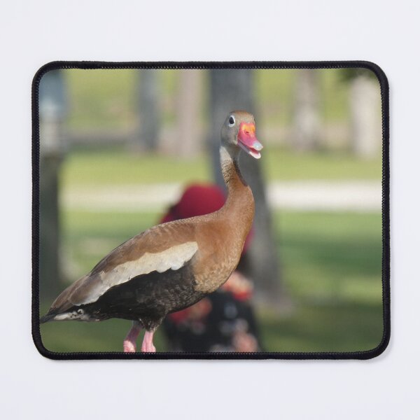 Item preview, Black-bellied Whistling Duck designed and sold by Birds-by-Bovi.