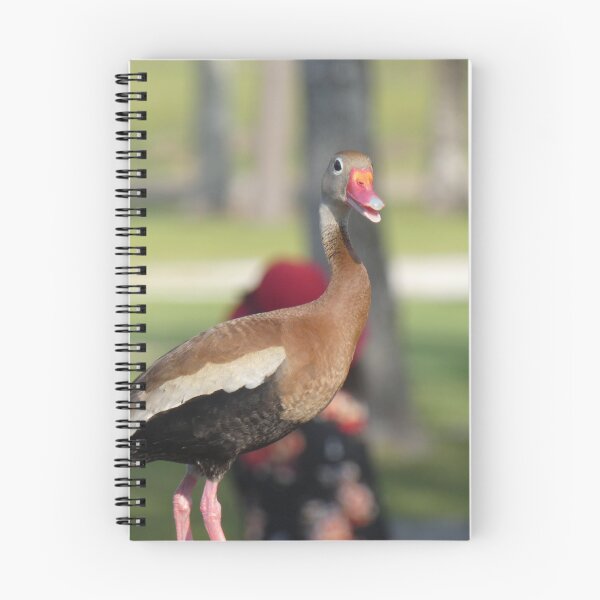 Item preview, Black-bellied Whistling Duck designed and sold by Birds-by-Bovi.