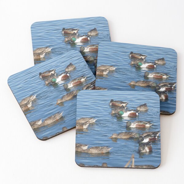 Item preview, Hungry Hungry Ducks designed and sold by Birds-by-Bovi.