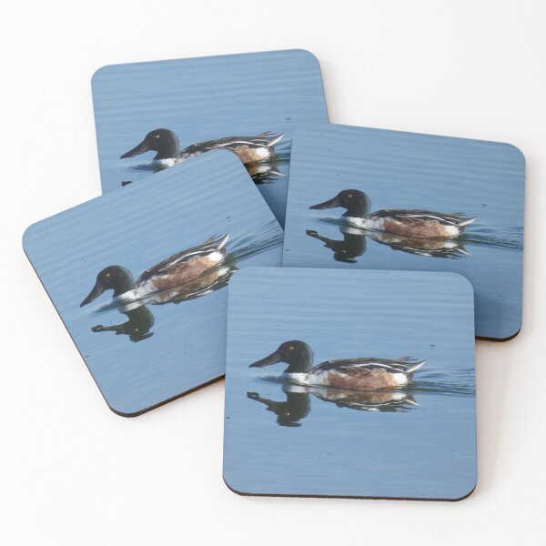 Item preview, Male Northern Shoveler designed and sold by Birds-by-Bovi.