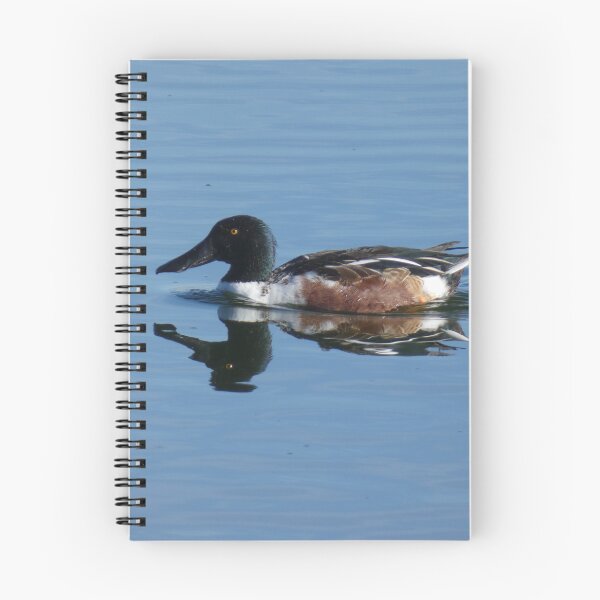 Item preview, Male Northern Shoveler designed and sold by Birds-by-Bovi.