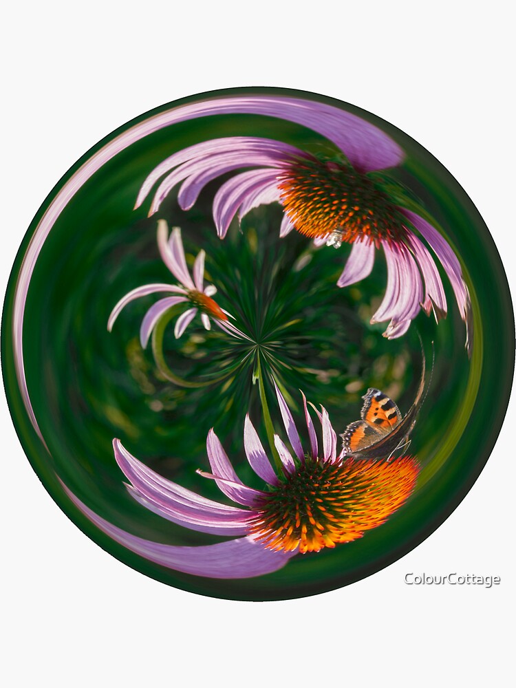 Orb 10 by ColourCottage