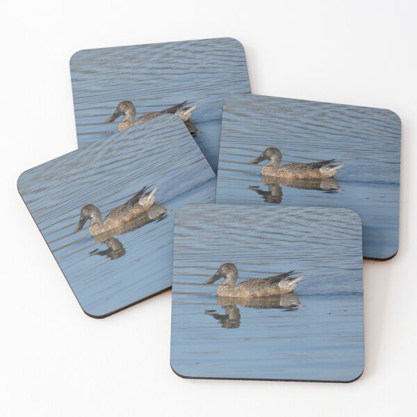 Item preview, Female Northern Shoveler designed and sold by Birds-by-Bovi.