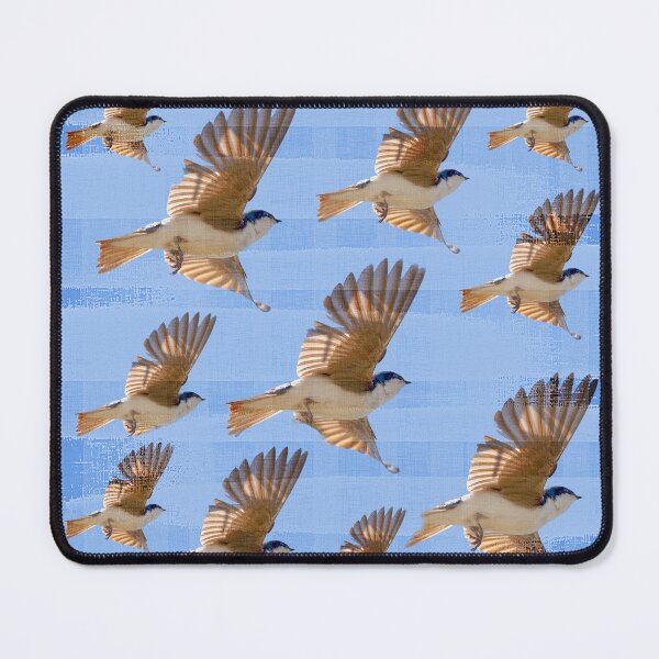 Item preview, Tree Swallows designed and sold by CarolM.