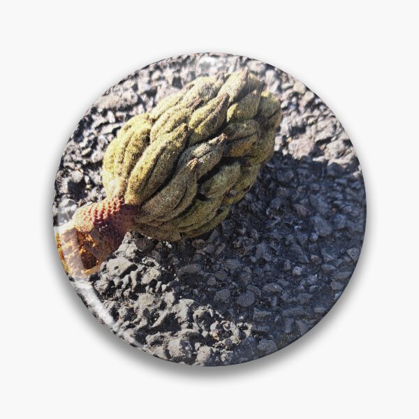 Item preview, Magnolia Seed Pod designed and sold by AnnWillmott.