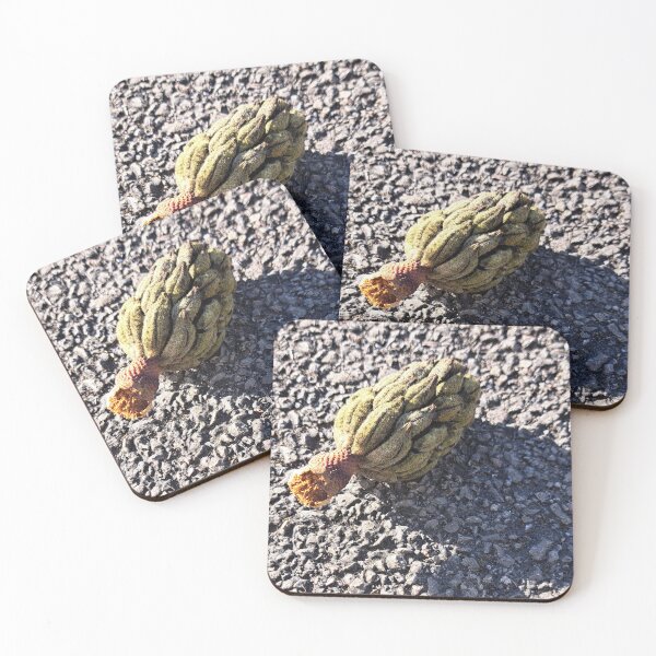 Item preview, Magnolia Seed Pod designed and sold by AnnWillmott.